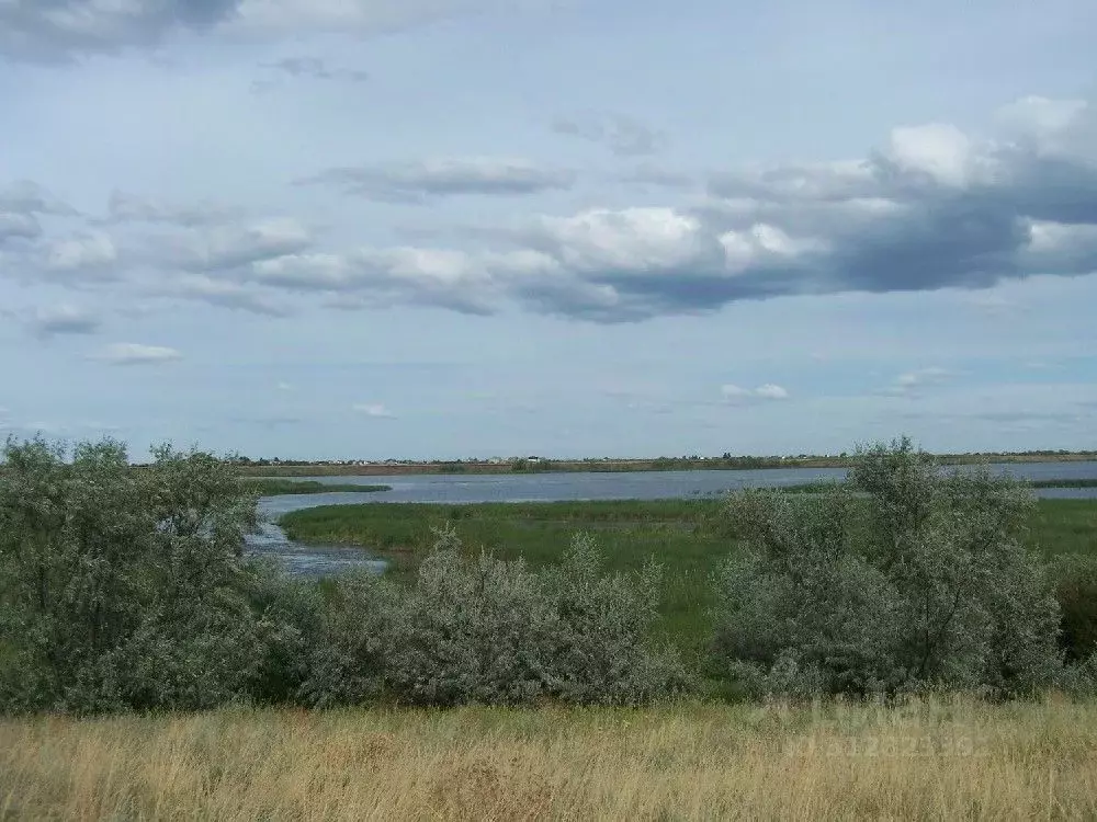 Участок в Саратовская область, с. Усть-Курдюм ул. Мусы Джалиля, 49 ... - Фото 0