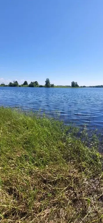 Дом 60 м на участке 15 сот. - Фото 1