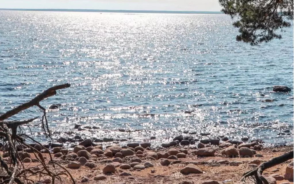 Участок в Ленинградская область, Выборгский район, Приморское ... - Фото 1
