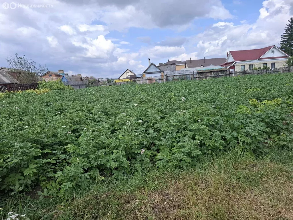 Участок в Туймазы, улица Островского, 102 (8 м) - Фото 0
