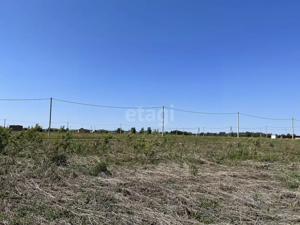 Участок в Новосибирская область, Новосибирский район, Морской ... - Фото 0