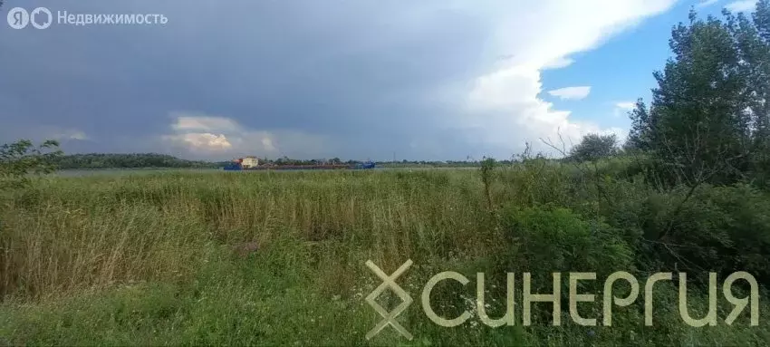 Участок в Елизаветинское сельское поселение, хутор Колузаево, ... - Фото 2