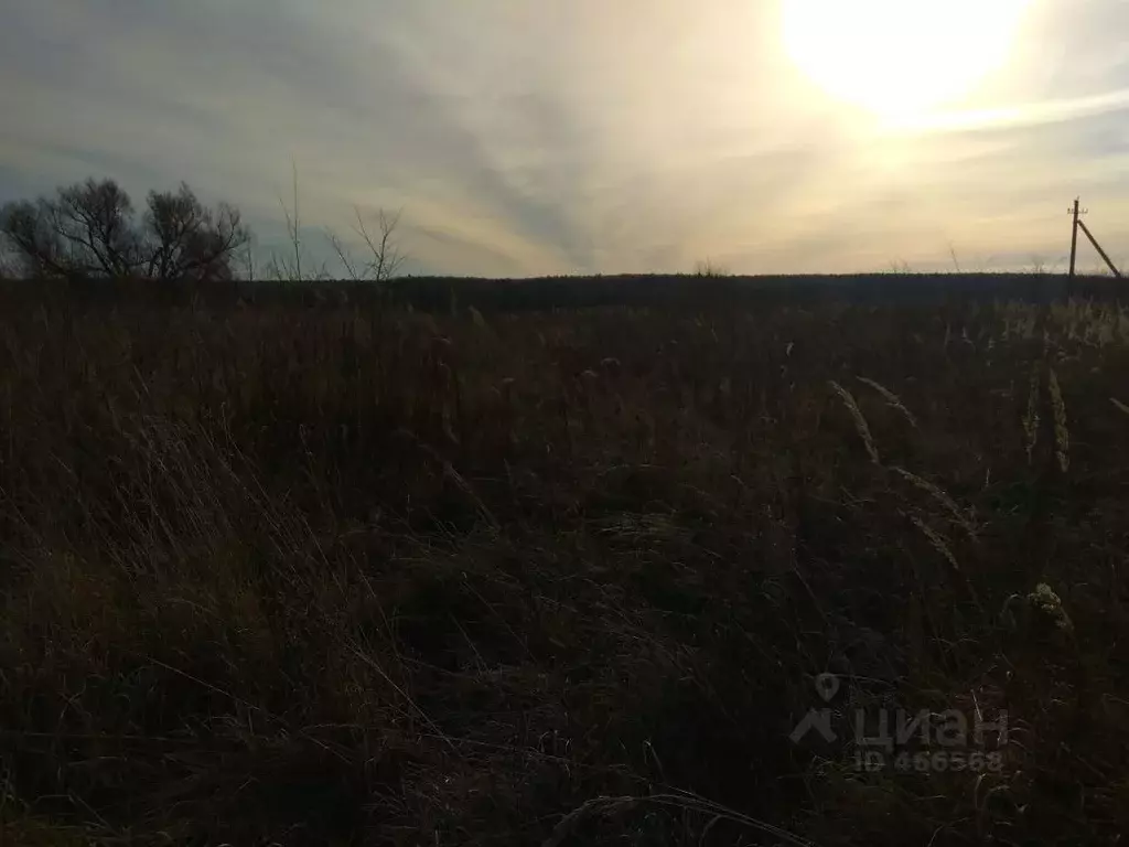 Участок в Владимирская область, Киржачский район, пос. Желдыбино  ... - Фото 1