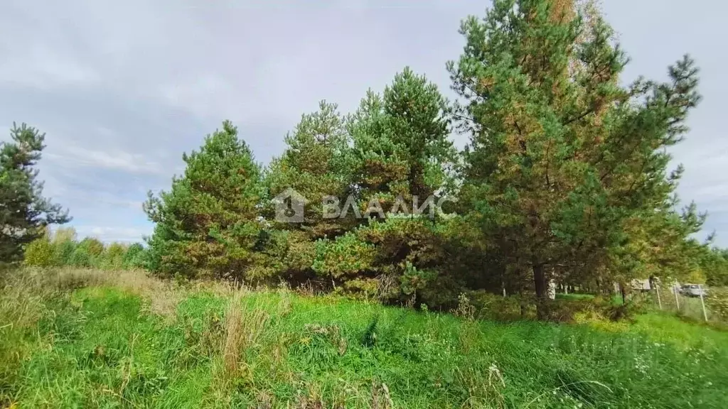 Участок в Владимирская область, Камешковский муниципальный округ, д. ... - Фото 2