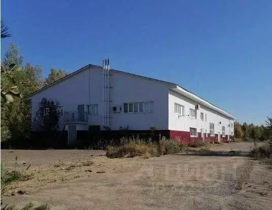 Помещение свободного назначения в Коми, Сосногорск муниципальный ... - Фото 1