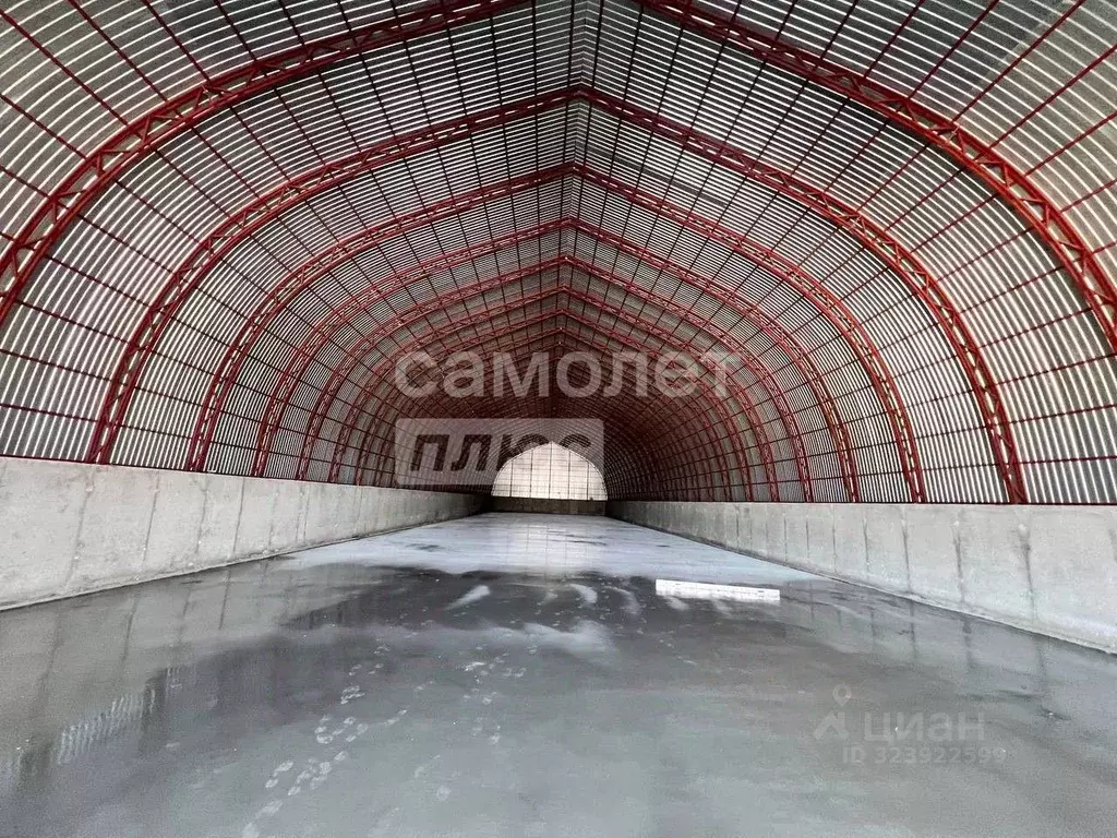 Склад в Московская область, Дмитровский муниципальный округ, д. ... - Фото 1