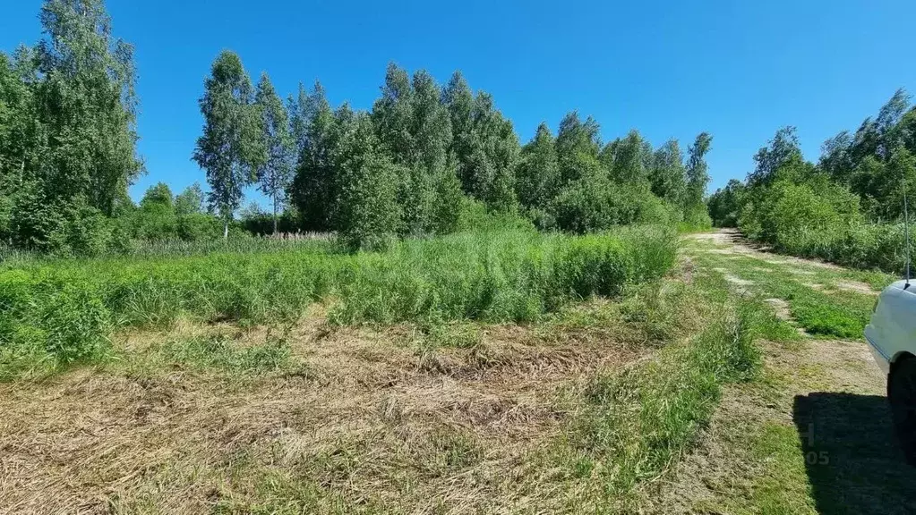 Участок в Тюменская область, Нижнетавдинский муниципальный округ, ... - Фото 1