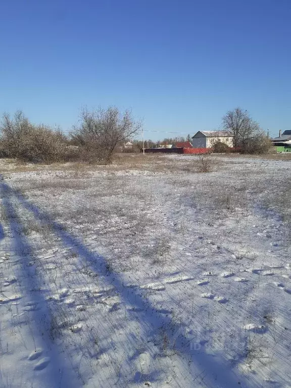 Участок в Саратовская область, Энгельсский район, Красноярское ... - Фото 0