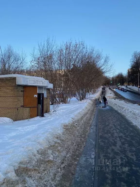 Торговая площадь в Нижегородская область, Нижний Новгород ул. 40 лет ... - Фото 1