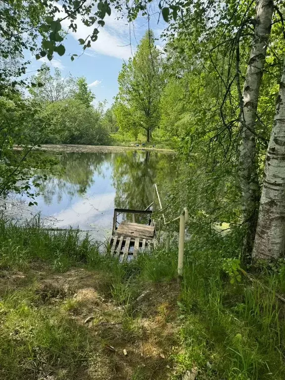 Участок 8 сот. (СНТ, ДНП) - Фото 1