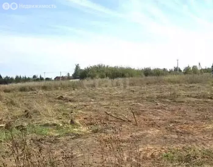 Участок в Калининградская область, Зеленоградский муниципальный округ, ... - Фото 1