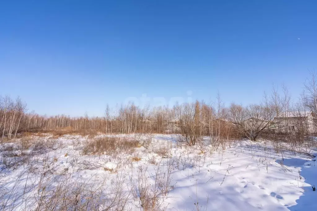 Участок в Хабаровский край, Хабаровский район, с. Мирное  (10.0 сот.) - Фото 1
