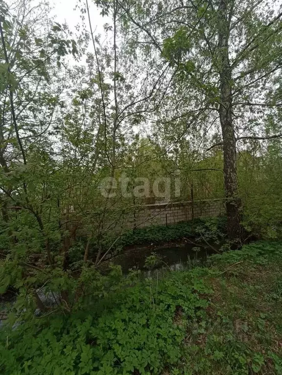 Участок в Брянская область, Карачев Советская ул. (6.1 сот.) - Фото 0