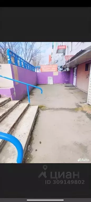 Помещение свободного назначения в Мурманская область, Мурманск ул. ... - Фото 1