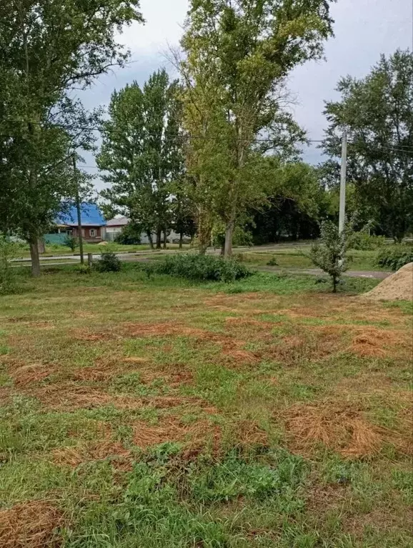 Участок в Саратовская область, Калининск Коммунистическая ул. (14.5 ... - Фото 1