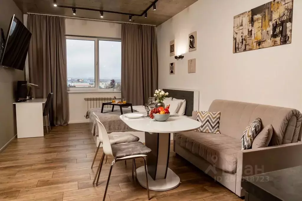 Студия Московская область, Одинцовский городской округ, Новоивановское ... - Фото 2