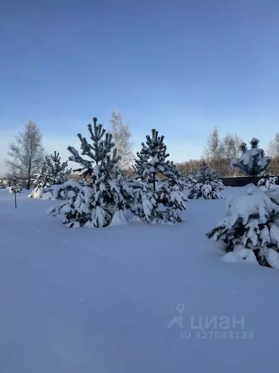 Участок в Тульская область, Заокский район, Малаховское с/пос, Нова ... - Фото 1