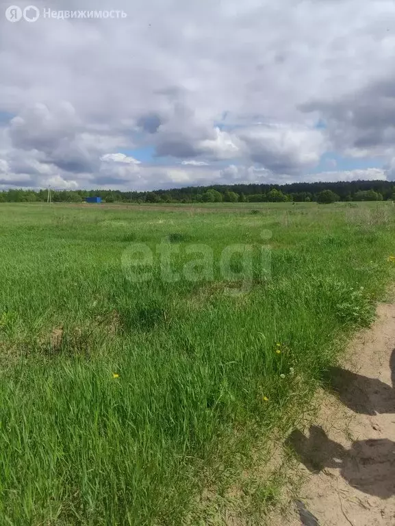 Участок в село Корекозево, Центральная улица (20 м) - Фото 1