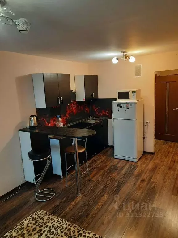 Студия Кировская область, Киров Московская ул., 121к1 (26.0 м) - Фото 2