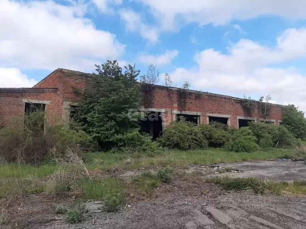 Склад в Тамбовская область, Гавриловский муниципальный округ Р-208, ... - Фото 0