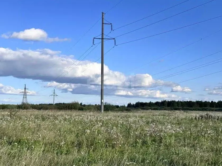 Участок в Тюменская область, Тюмень  (7.5 сот.) - Фото 0