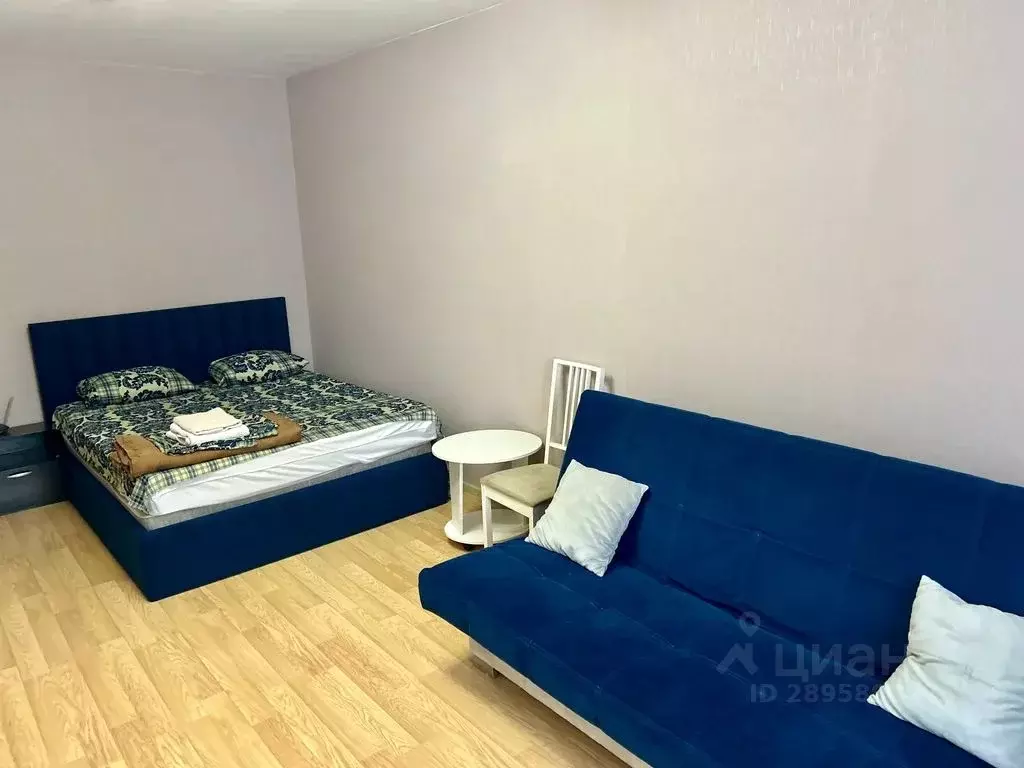 1-к кв. Нижегородская область, Нижний Новгород д. Анкудиновка, ул. ... - Фото 1