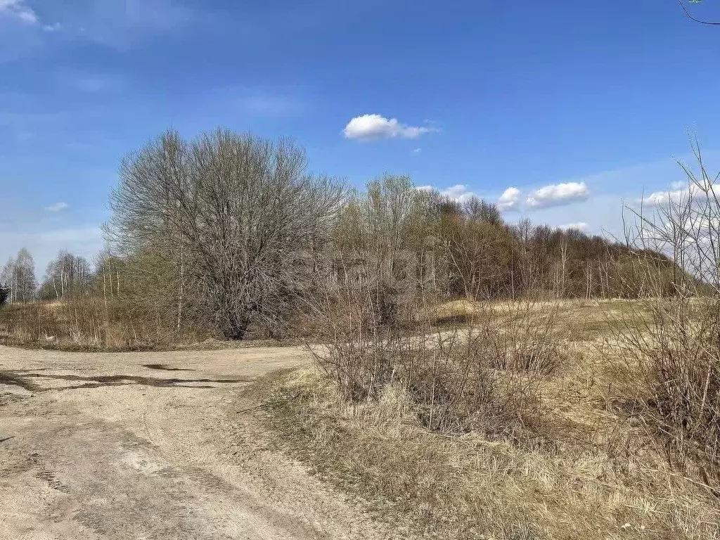 Участок в Тульская область, Белев  (434.0 сот.) - Фото 1