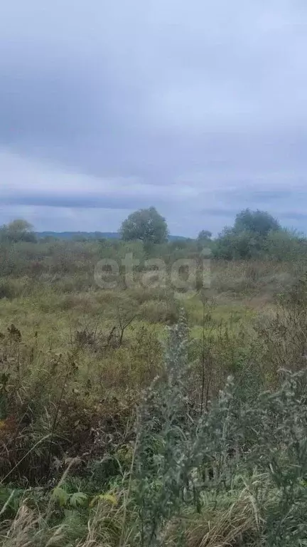 Участок в Амурская область, Благовещенский район, с. Усть-Ивановка ... - Фото 2