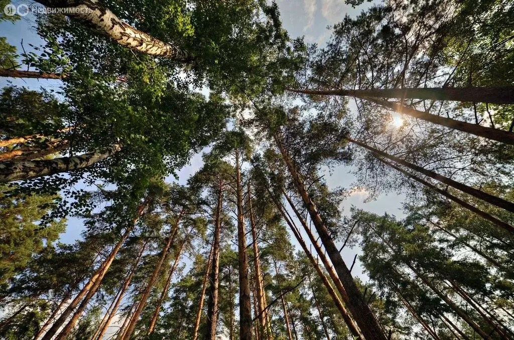 Участок в Поздняково, КП Никольская слобода (132 м) - Фото 0