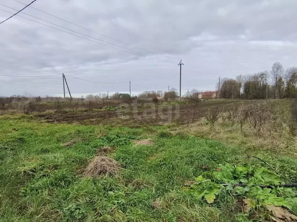 Участок в Ленинградская область, Киришский район, Глажевское с/пос, ... - Фото 2