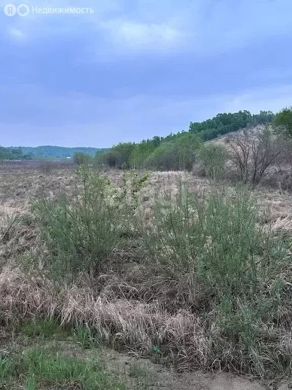 Участок в Благовещенск, Берёзовая улица (8.1 м) - Фото 0