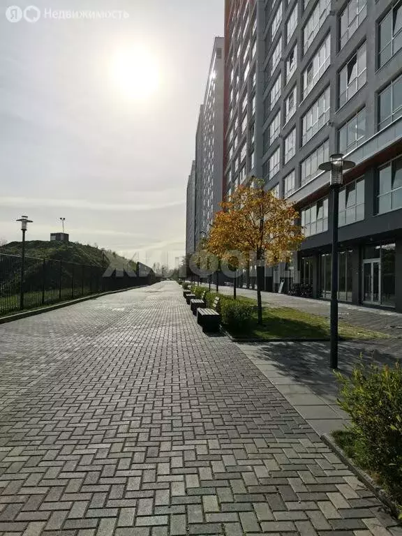 Квартира-студия: Новосибирск, улица Немировича-Данченко, 148/2 (33.1 ... - Фото 1