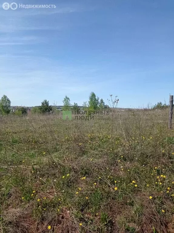 Участок в Удмуртская Республика, Ижевск (15 м) - Фото 1