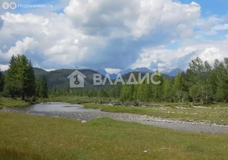 Участок в Тункинский район, село Туран (19.9 м) - Фото 1