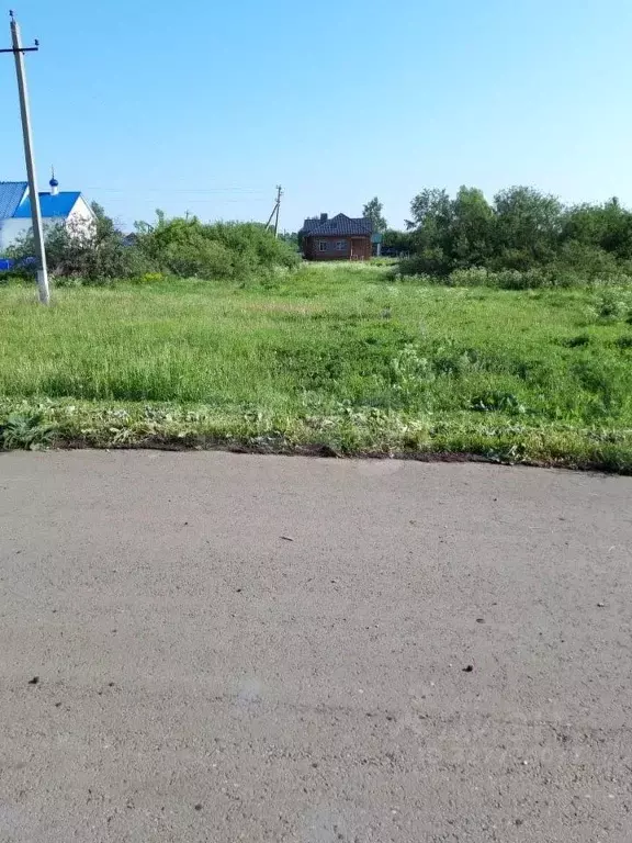 Участок в Мордовия, Рузаевский район, с. Ключарево Центральная ул. ... - Фото 2