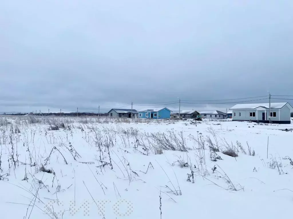 Участок в Вологодская область, Череповецкий район, Югское ... - Фото 1