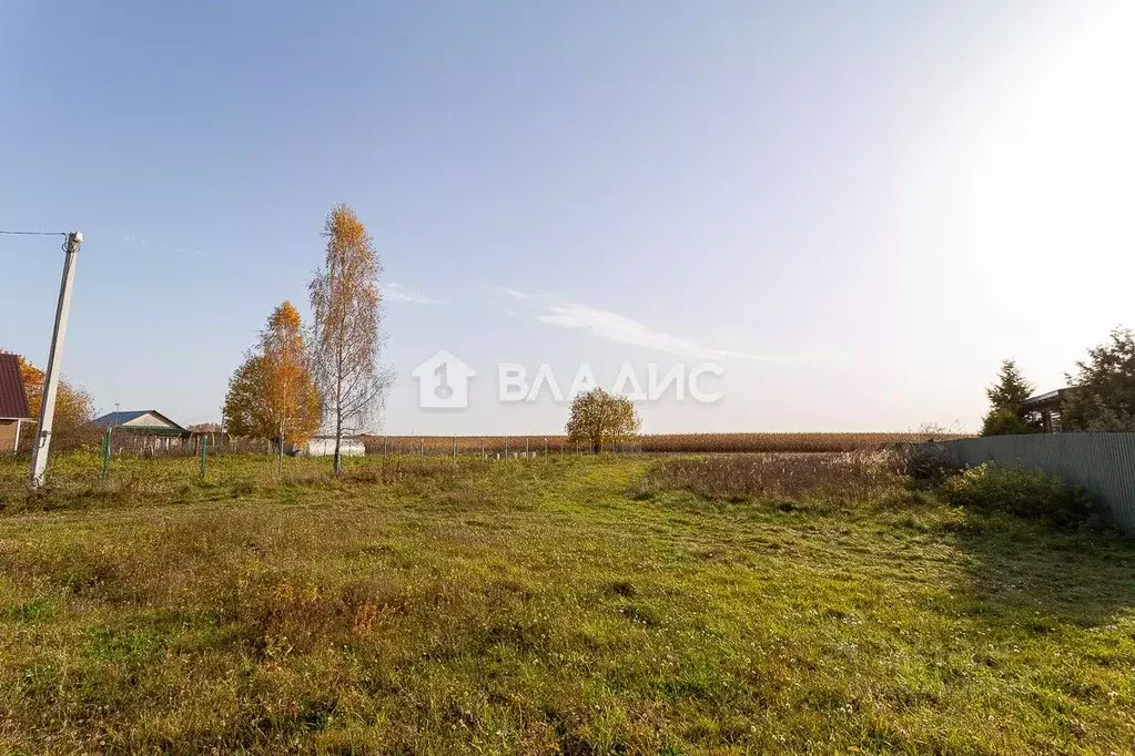 Участок в Владимирская область, Суздальский район, Боголюбовское ... - Фото 2