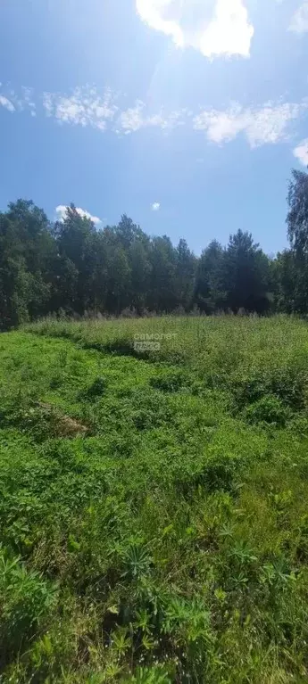 Участок в Московская область, Шатура муниципальный округ, с. ... - Фото 2