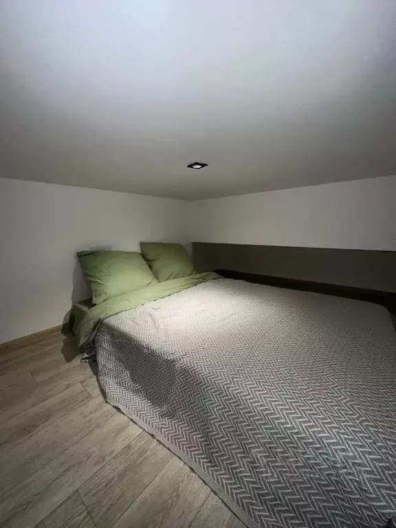 Студия Москва Армянский пер., 7 (24.0 м) - Фото 2