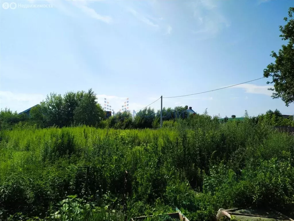 Участок в Афонино, Магистральная улица (13 м) - Фото 1
