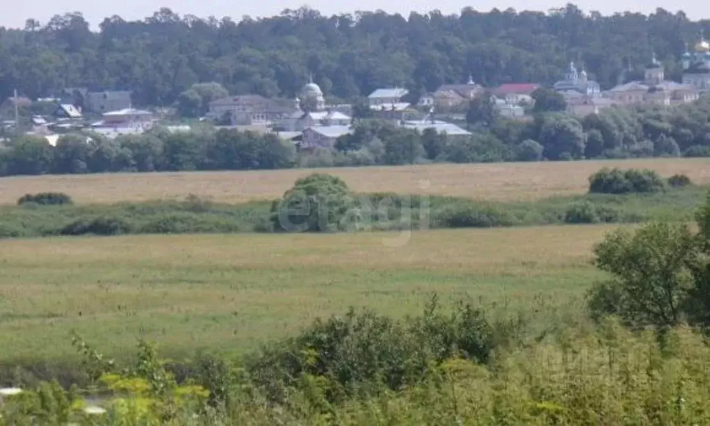 Участок в Калужская область, Козельский муниципальный округ, Нижние ... - Фото 2
