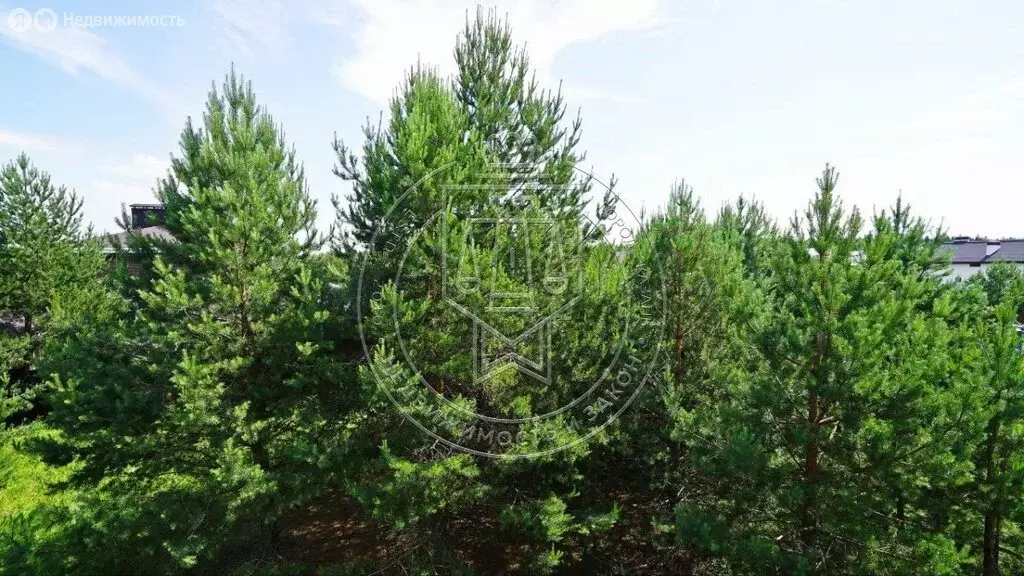 Участок в Лаишевский район, Орловское сельское поселение, деревня Орёл ... - Фото 2