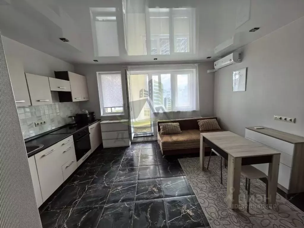 Студия Московская область, Раменское Высоковольтная ул., 22 (28.3 м) - Фото 1