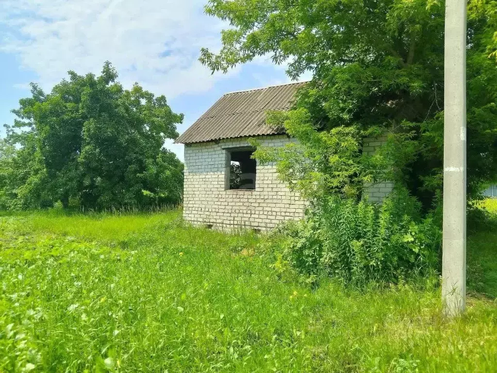 Участок в Брянская область, Брянский район, Снежское с/пос, пос. ... - Фото 1