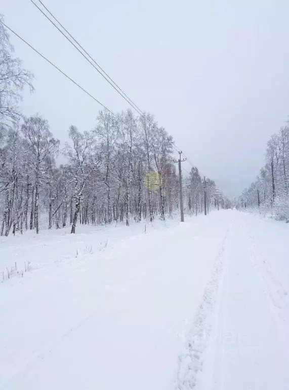 Участок в Иркутская область, Иркутский муниципальный округ, Славное ... - Фото 2