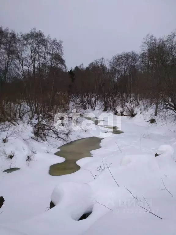 Участок в Вологодская область, д. Мальгино (Подлесный сельсовет)  ... - Фото 2