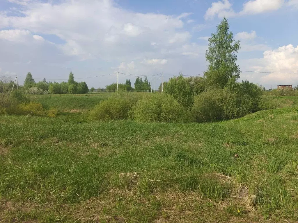 Участок в Московская область, Луховицы Диана СНТ,  (6.0 сот.) - Фото 2