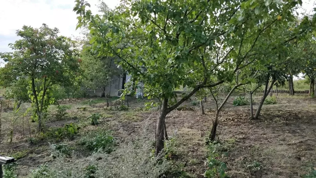 Участок в Ставрополь, садовое некоммерческое товарищество Вольница, ... - Фото 1