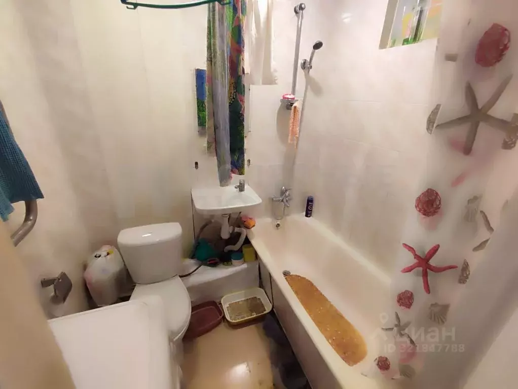 1-к кв. Новгородская область, Великий Новгород Большая ... - Фото 1