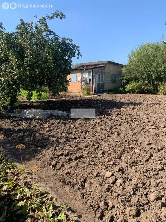 Дом в Щёкинский район, сельское поселение Яснополянское, СНТ ... - Фото 2